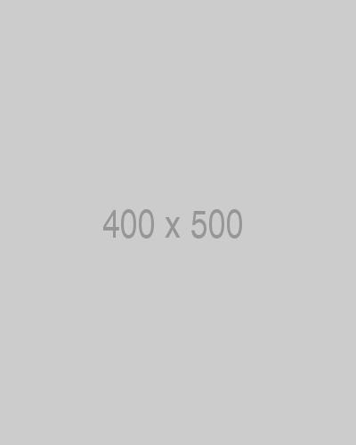 litho-400x500-ph.jpg
